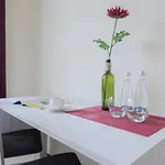 Kamienica Pod Aniolami מלון דירות ורוצלב