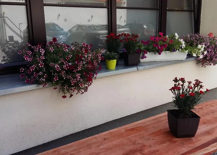 Kamienica Pod Aniolami Wroclaw